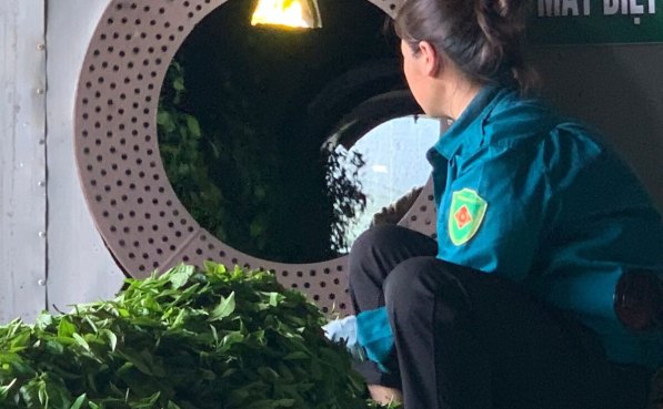 Ein Mitarbeiter gibt frisches Teeblatt in die Kill-Green-Trommel in der TRAVINA-Fabrik