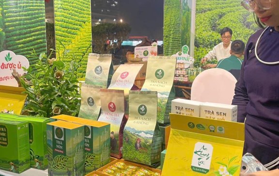 TRAVINA-Tee auf einem Messestand in Thai Nguyen