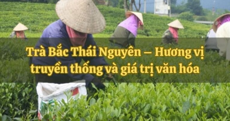 Tra Bac – thé vert traditionnel du Nord