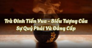 Tra Dinh Tien Vua - Tien Vua Needle Tea