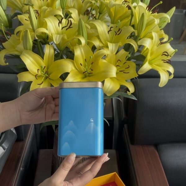 Una lata de té del estuche de regalo Tam Tra Nguyen Huong de TRAVINA sostenida en la mano
