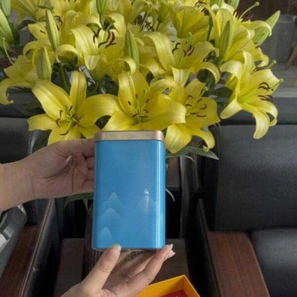 One tea tin from the TRAVINA Tam Tra Nguyen Huong gift set held in hand