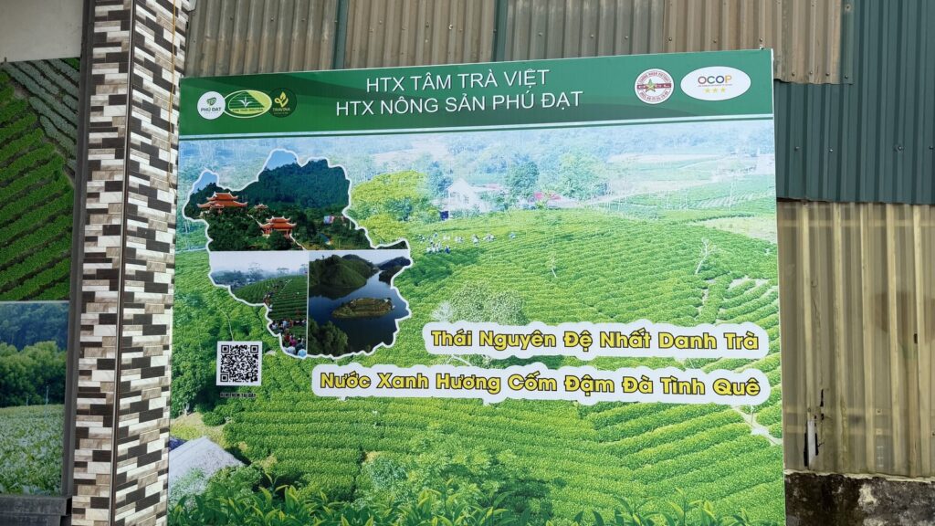 Schild der Partnergenossenschaft Phu Dat mit der Teekarte von Thai Nguyen