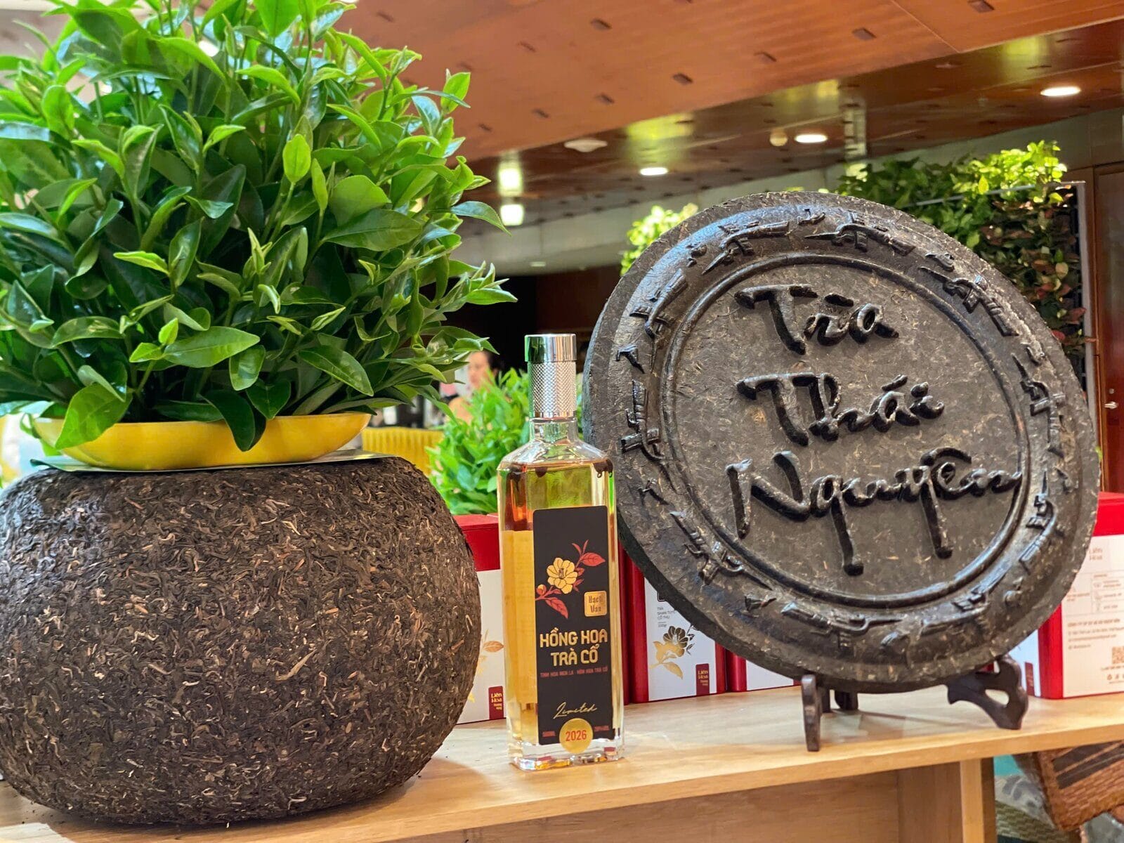 A compressed tea cake displayed in the Thai Nguyen tea culture space