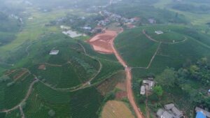 Vista aérea de una zona de cultivo de té de Thai Nguyen y del pueblo que hay debajo