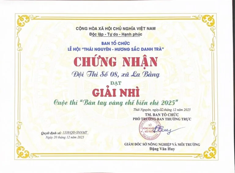 Certificate from the Golden Hands tea processing contest at the 2025 Thai Nguyen tea festival, awarded to team No. 08 under decision 1338/QD-SNMT of 20 December 2025