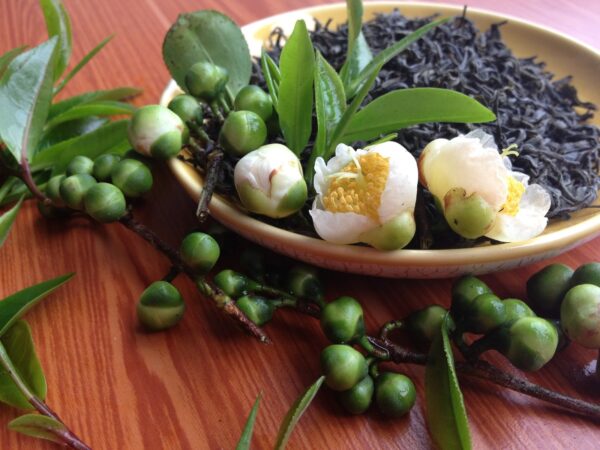 一碟 TRAVINA Nui Coc 红茶，旁边是茶园里的鲜茶花、茶籽与嫩叶