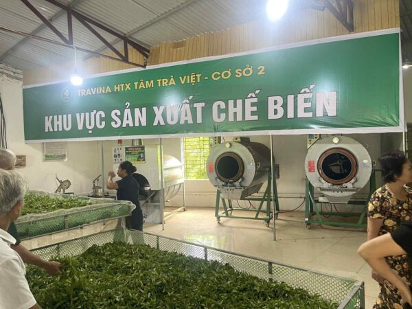 Machines de chauffe à la poêle dans la halle de transformation TRAVINA à Dai Tu, Thai Nguyen