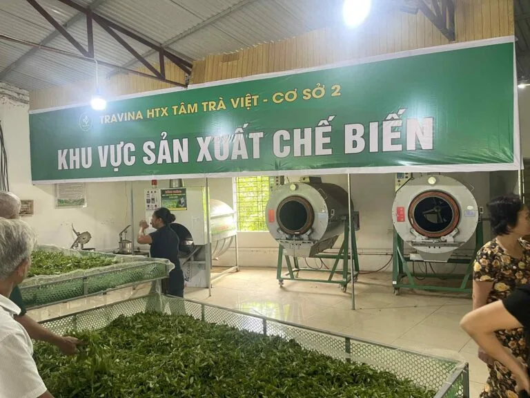 Pan firing machines in the TRAVINA processing hall in Dai Tu, Thai Nguyen