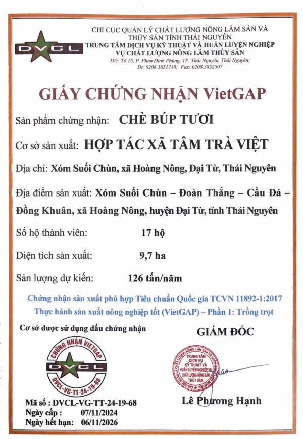 Certificat VietGAP délivré à la coopérative Tam Tra Viet pour le bourgeon de thé frais, 17 foyers et 9,7 hectares