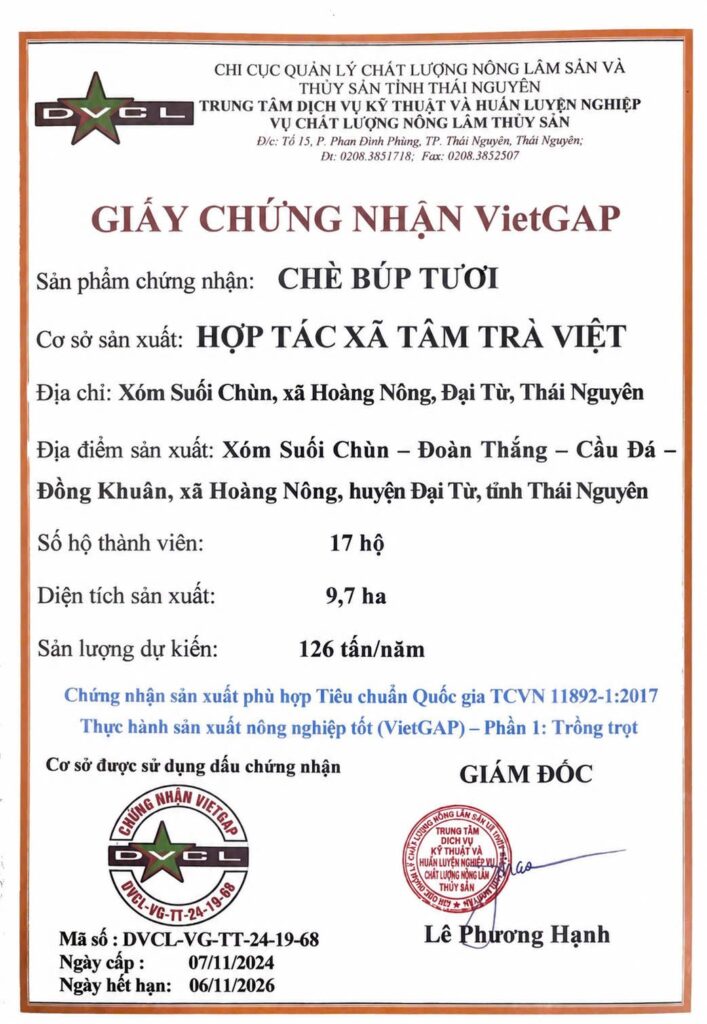 颁发给 Tam Tra Viet 合作社的鲜茶芽 VietGAP 证书,第 DVCL-VG-TT-24-19-68 号