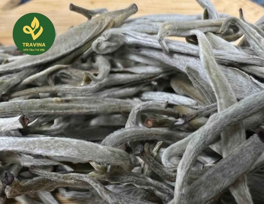 Té Peonía Blanca de TRAVINA, Thai Nguyen – primer plano de las yemas plateadas
