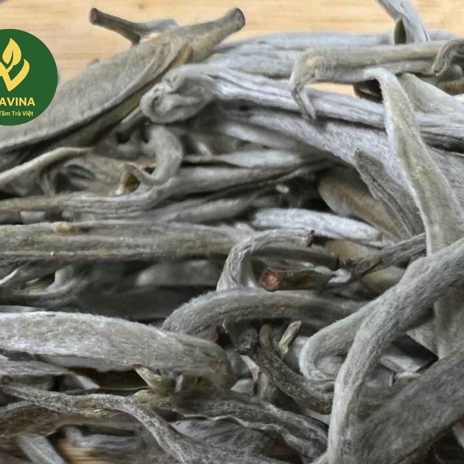 Té Peonía Blanca de TRAVINA, Thai Nguyen – primer plano de las yemas plateadas