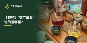 《茶经》"交广最重"说的是哪里？冲泡待品的越南太原绿茶