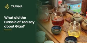 What did the Classic of Tea say about Giao? Thai Nguyen green tea brewed for tasting