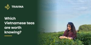 Which Vietnamese teas are worth knowing? A tea garden under a blue sky in Thai Nguyen