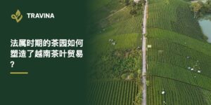 法属时期的茶园如何塑造了越南茶叶贸易？大慈茶山航拍