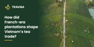 How did French-era plantations shape Vietnam's tea trade? Aerial view of tea hills in Dai Tu