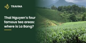 Thai Nguyen's four famous tea areas: tea hills and mountains around the TRAVINA growing area in La Bang
