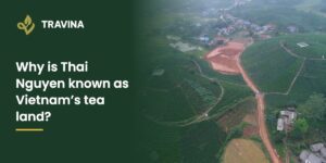 Why is Thai Nguyen known as Vietnam's tea land? Aerial view of a Thai Nguyen tea growing area and village