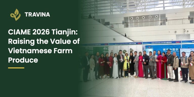 CIAME 2026 in Tianjin: A Journey to Raise the Value of Vietnamese Farm Produce