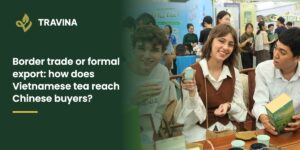Border trade or formal export: how does Vietnamese tea reach Chinese buyers?