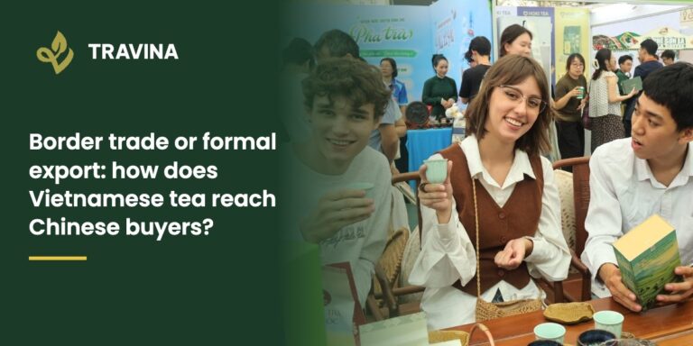 Border trade or formal export: how does Vietnamese tea reach Chinese buyers?