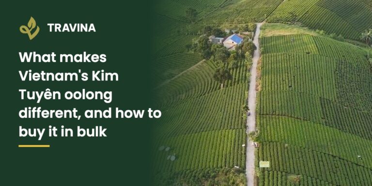 What makes Vietnam's Kim Tuyên oolong different, and how to buy it in bulk