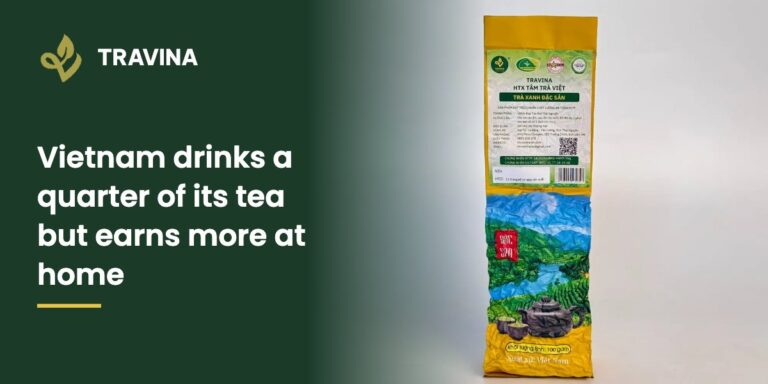 Vietnam drinks a quarter of its tea but earns more at home: Thai Nguyen Special Green Tea pack