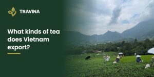 What kinds of tea does Vietnam export? Panorama of tea hills on a harvest morning in Thai Nguyen
