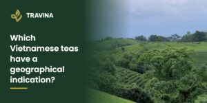 Which Vietnamese teas have a geographical indication? Tea gardens in Dai Tu, Thai Nguyen