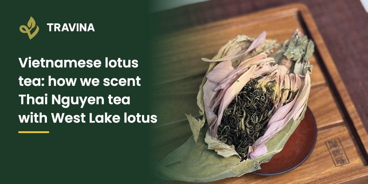 Vietnamese lotus tea: how we scent Thai Nguyen tea with West Lake lotus