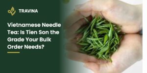 Vietnamese Needle Tea: Is Tien Son the Grade Your Bulk Order Needs?