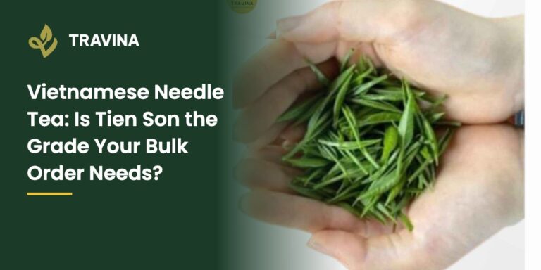 Vietnamese Needle Tea: Is Tien Son the Grade Your Bulk Order Needs?