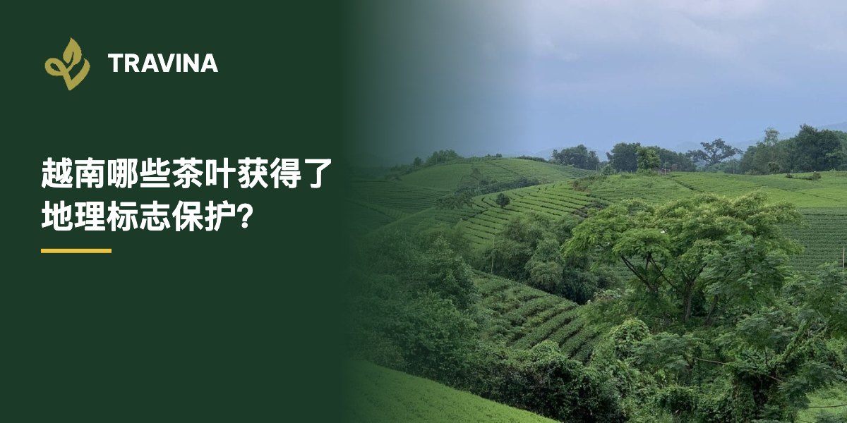 越南哪些茶叶获得了地理标志保护？越南太原大慈的茶园
