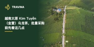 越南太原 Kim Tuyên（金萱）乌龙茶有什么不同？批量采购前先看这几点