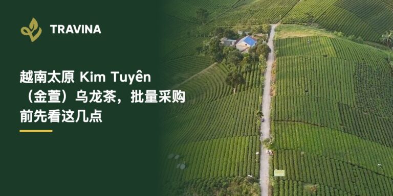 越南太原 Kim Tuyên（金萱）乌龙茶有什么不同？批量采购前先看这几点