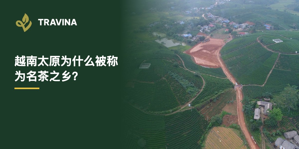 越南太原为什么被称为名茶之乡？越南太原茶区与村庄航拍