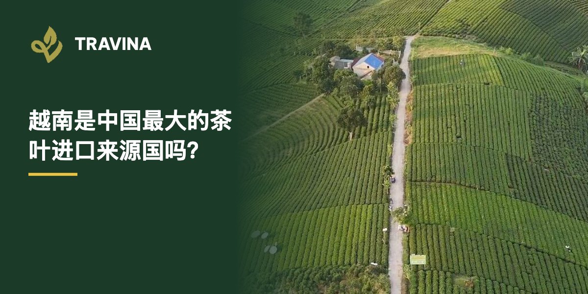 越南是中国最大的茶叶进口来源国吗？越南太原省大慈茶园航拍